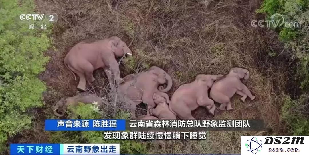 原神群玉阁内精彩对话汇聚，探讨角色与故事的深度交流