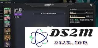 荒原曙光中有哪些宠物最具培养价值和发展潜力值得玩家投入精力？