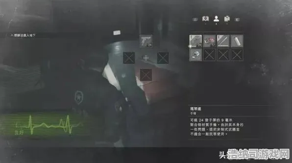 元旦新启航：生化危机行业观察与装备搭配的深度解析及其背后故事