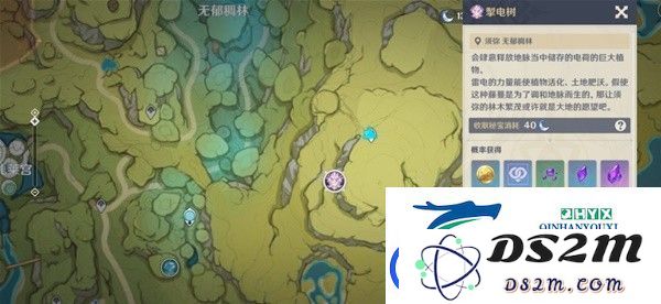 原神掣电树的位置如何找到-详细的原神掣电树位置图文解析