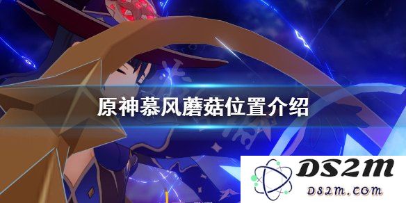 原神去哪里找慕风蘑菇