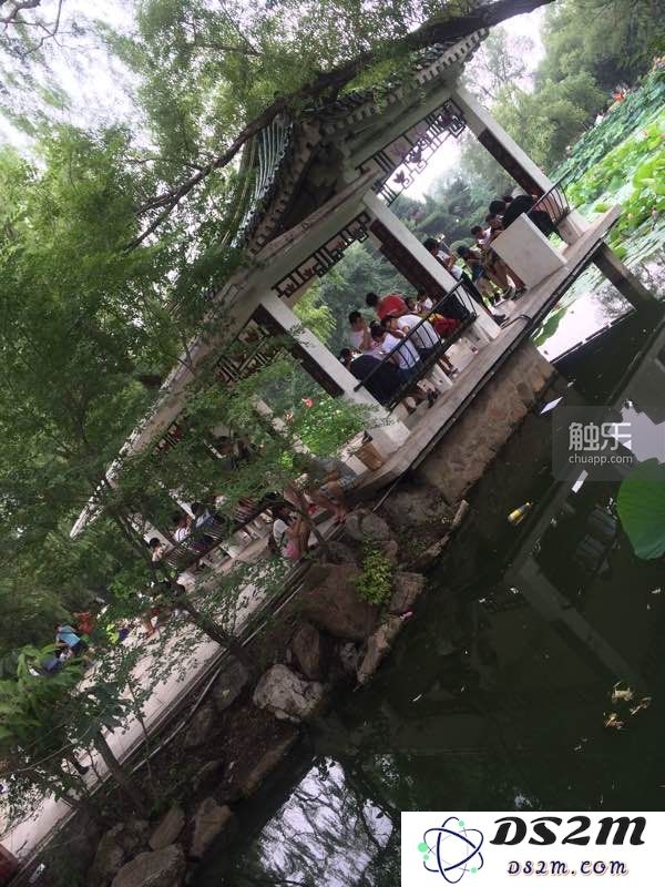 探索老年人健身团体：如何在暴走活动中找到乐趣与健康