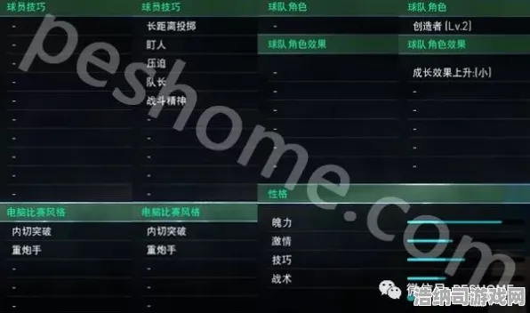 实况足球 限量版武器 深度解析：实况足球 角色技能调整 实况足球：角色技能调整与性能测试报告