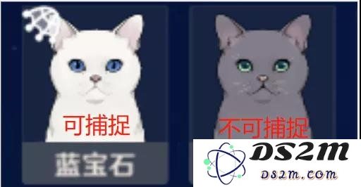 原神角色代表的动物