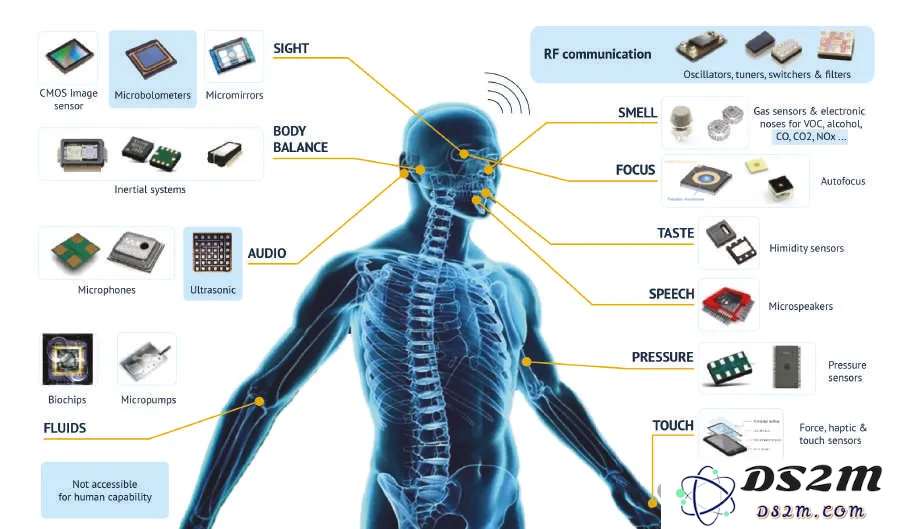 我们要做3D界的ImageNet，推动具身智能训练新范式