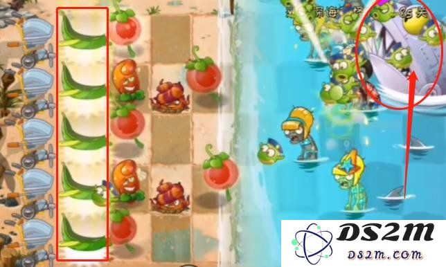 植物大战僵尸2海滩无尽怎么通关 海滩无尽通关教学：轻松攻略海滩无尽！秘诀就在这里