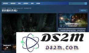 受折磨的灵魂2的官方网站具体网址是什么，你可以从哪里找到相关信息