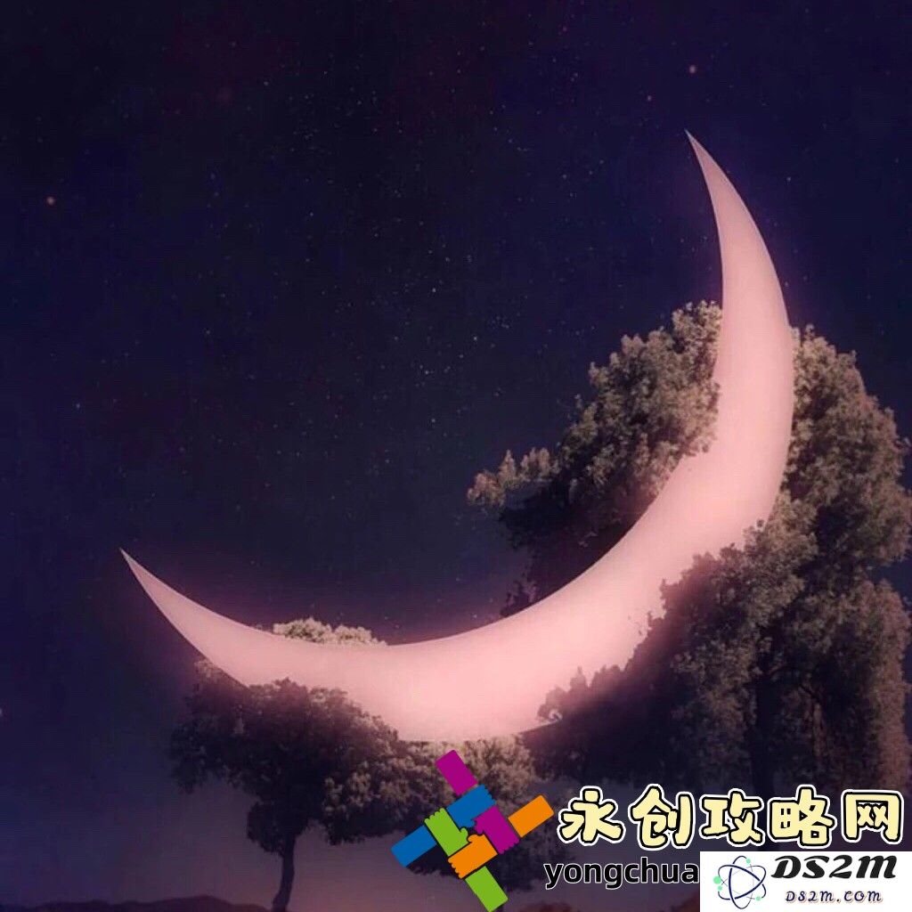 揭示善良与美丽岳交换现象背后的科学和心理学机制