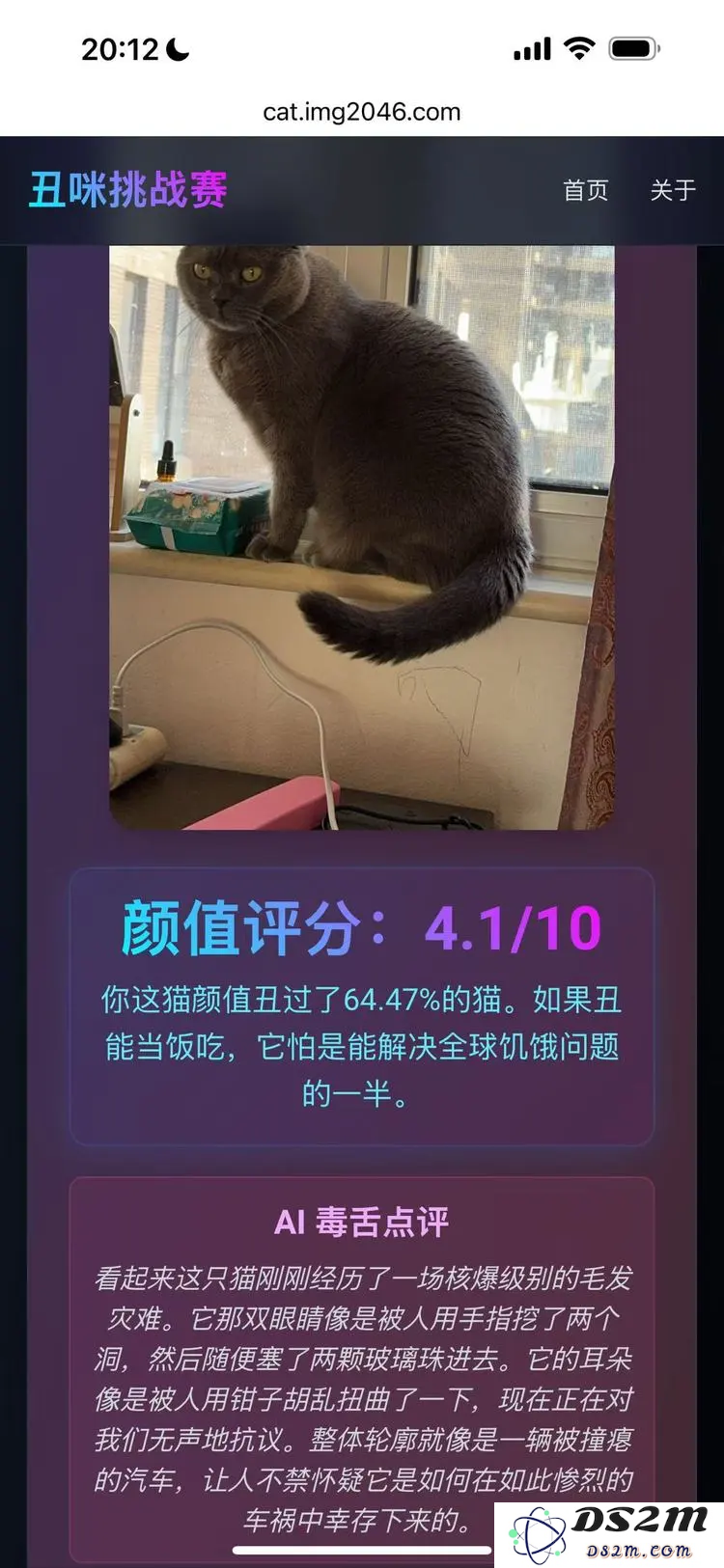 和「小猫补光灯」陈云飞一起玩了1小时Cursor，我发现编程真的要变天了