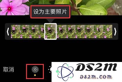 iPhone 11/11 Pro 编辑实况照片的三个小技巧