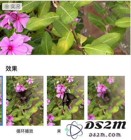 iPhone 11/11 Pro 编辑实况照片的三个小技巧