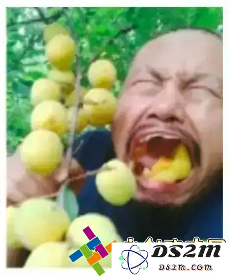 无需花费一分钱的黄金投资软件——助你轻松掌握市场动态，获取更多财富增值机会