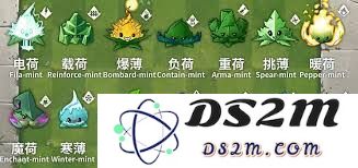 植物大战僵尸3荔枝植物的全面攻略及使用技巧分享