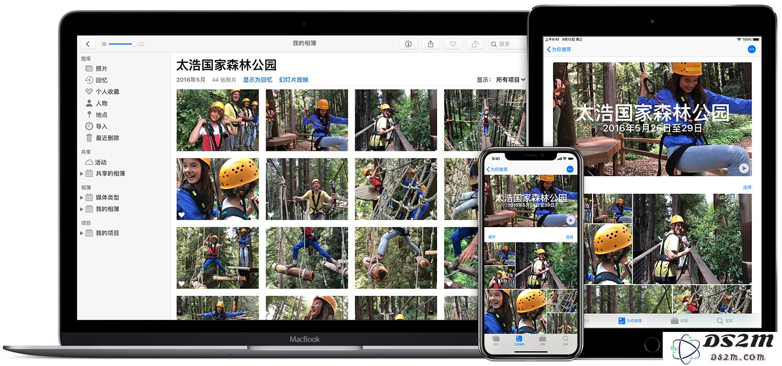 如果你发现 iPhone 中的照片不见了该如何解决及恢复方法？