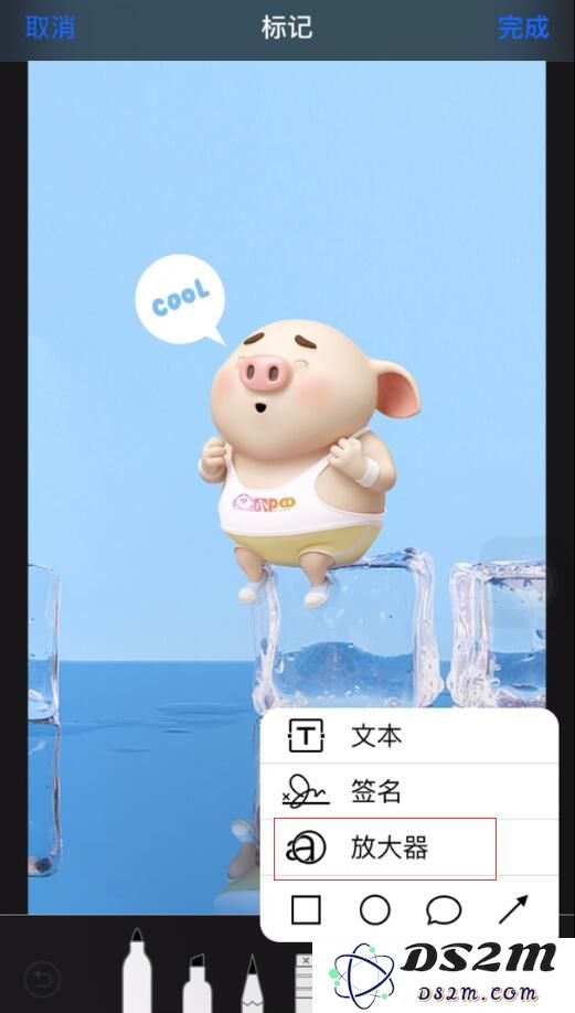 iPhone 里藏着两个实用的“放大器”功能，你知道在哪吗?