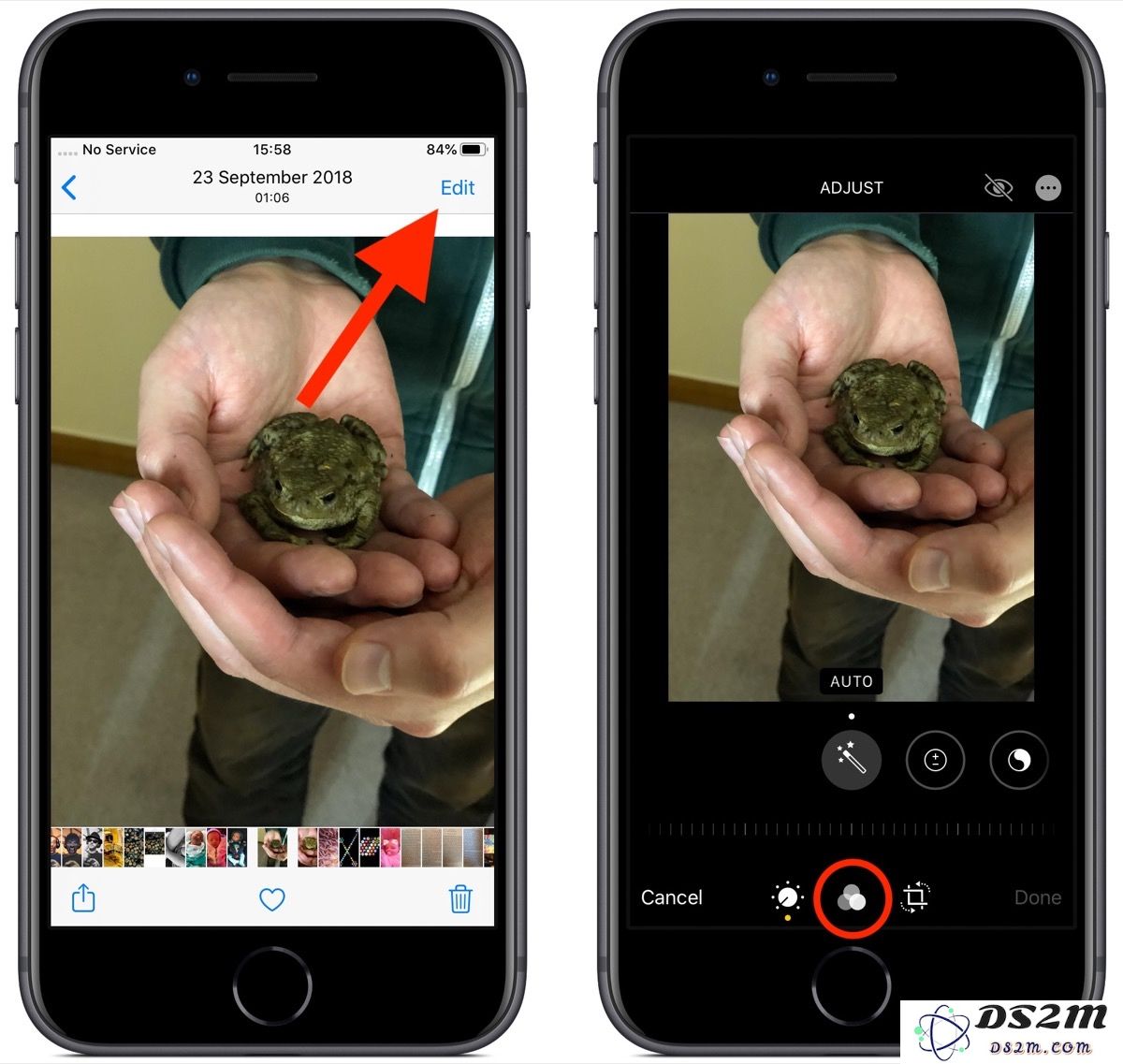 iOS 13 使用指南：轻松调整照片中的图像滤镜效果步骤详解