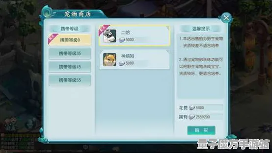 《光与夜之恋》宠物培养-实时更新-每日热修-Windows全息版-体育竞技