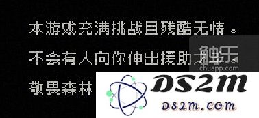 《阴暗森林》：一条充满挑战与悬念的归家旅程