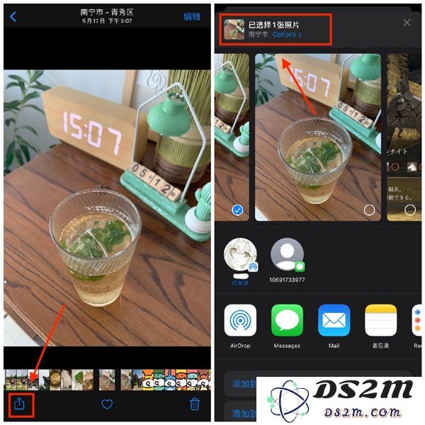 如何在苹果iOS 13中分享照片时去除单张图片的位置信息以保护隐私？