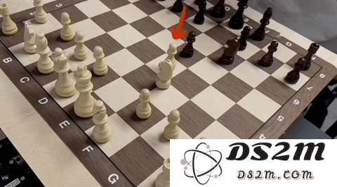 树莓派爆改国际象棋，棋子活了自己动