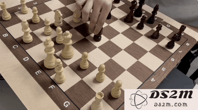 树莓派爆改国际象棋，棋子活了自己动