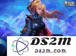 DNF协战师瞬袭火线压制技能全形态进化一览