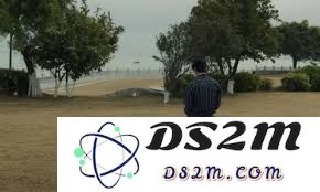 情感反诈模拟器真爱至上结局的触发条件与攻略详解