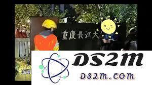 捞女游戏中的男主网名笨猫的独特魅力与角色分析