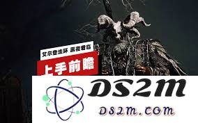 如何在艾尔登法环中打造出强力的黑夜君临无赖职业构筑指南