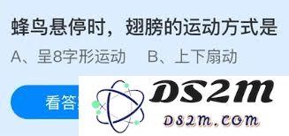蜂鸟在悬停状态下翅膀是如何灵活运动以维持平衡的