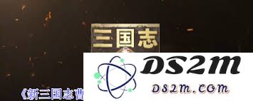 新三国志曹操传中吴国火攻流阵容的最佳搭配策略与角色选择分析