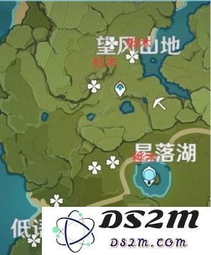 原神中松木在哪里