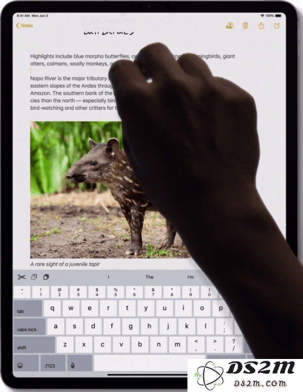 提升效率：在 iPadOS 上编辑文本的 5 个新体验