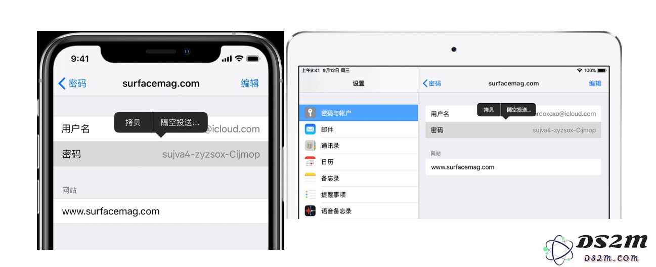 在 iPhone 上管理账户密码的 3 个小技巧
