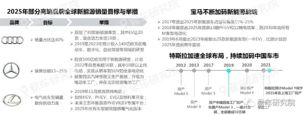 2025最新动态»羊了个羊新角色解析，优化方案揭秘速看！