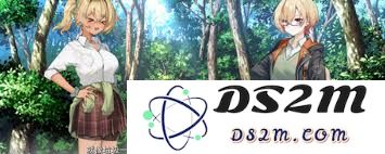 在玩Sign碎冠篇时所需的系统配置和设备要求有哪些？