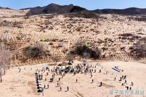 2025发售日确认现场»蚂蚁森林性能优化解析全解析，玩家实测报告