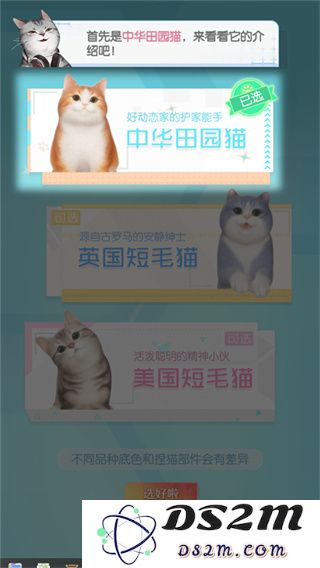 超喵星计划新手玩法