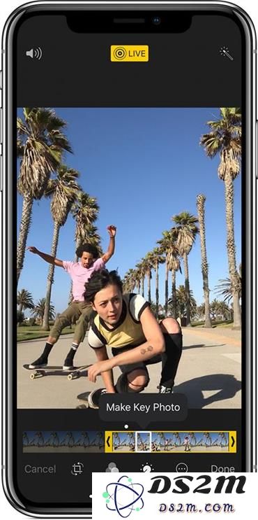 如何将 iPhone 中的 Live Photo 转换并以静态图像格式导出到电脑，步骤详解