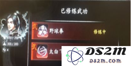 河洛群侠传野球拳怎么快速升级？河洛群侠传野球拳伤害怎么样
