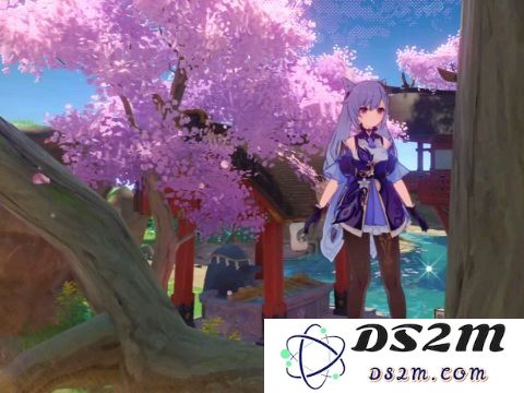原神稻妻如何去海底