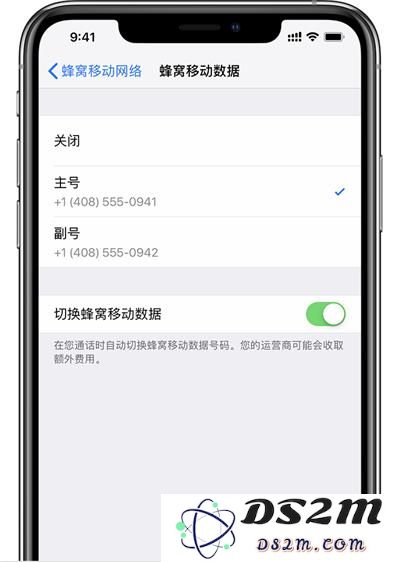 为什么 iPhone XS Max 插入两张电信卡后，副卡会显示无服务？
