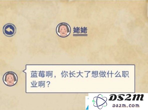 王蓝莓的理想人生如何选择合适的职业道路才能获得真正的幸福感？