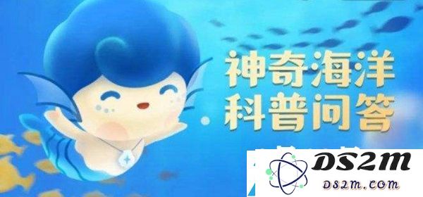 神奇海洋今日答案8.12
