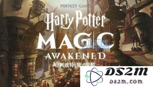 哈利波特魔法觉醒地区排名怎么显示 地区排名怎么设置