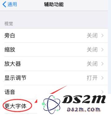 iPhone XR 如何放大图标和文字？