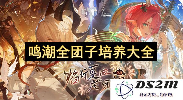 鸣潮全团子培养技巧与策略详解，助你轻松打造强力团队