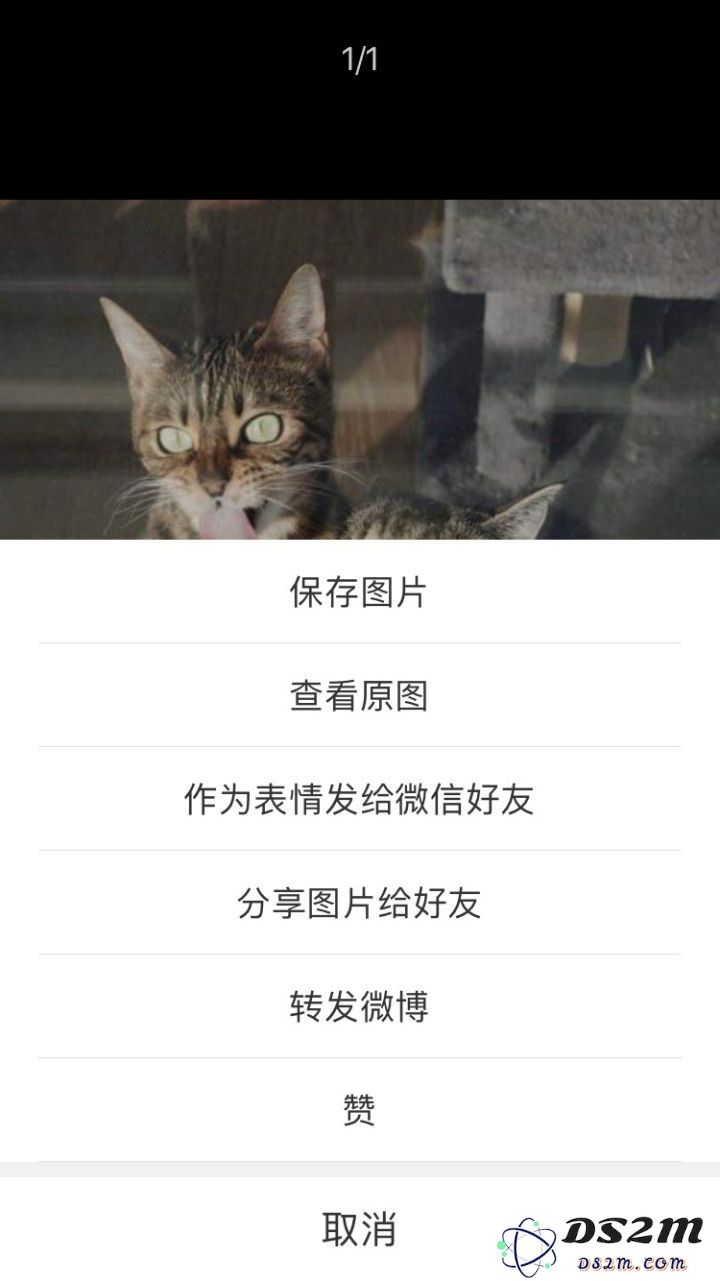 有什么让你相见恨晚的 iPhone 使用技巧？