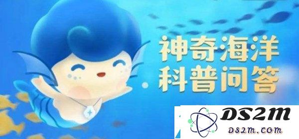 神秘海洋新发现今日解析8.18：你了解水母如何感知周围环境吗？详细攻略揭示升级关键点