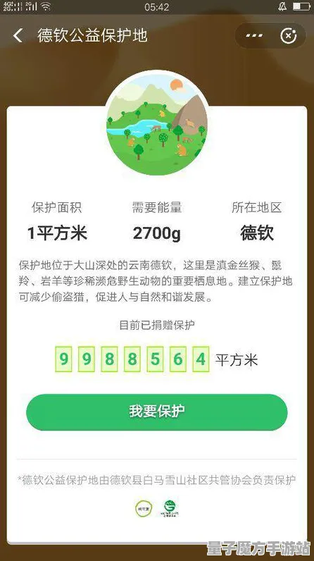 《蚂蚁森林》确认于2025年发售！全面性能优化解析及独家内幕揭秘